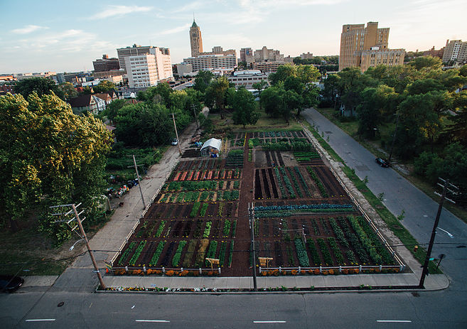 Michigan Urban farmer