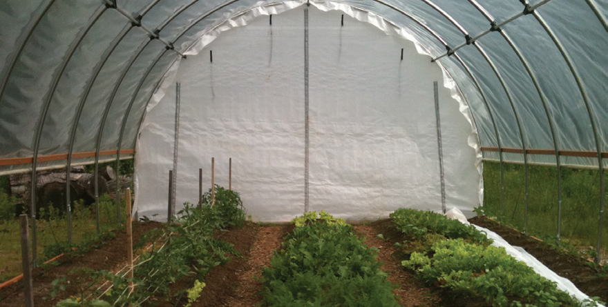 Avon old farms tunnel