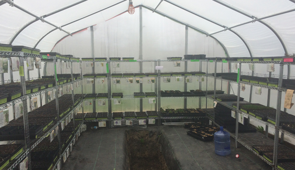 Michigan Urban farming Greenhouse