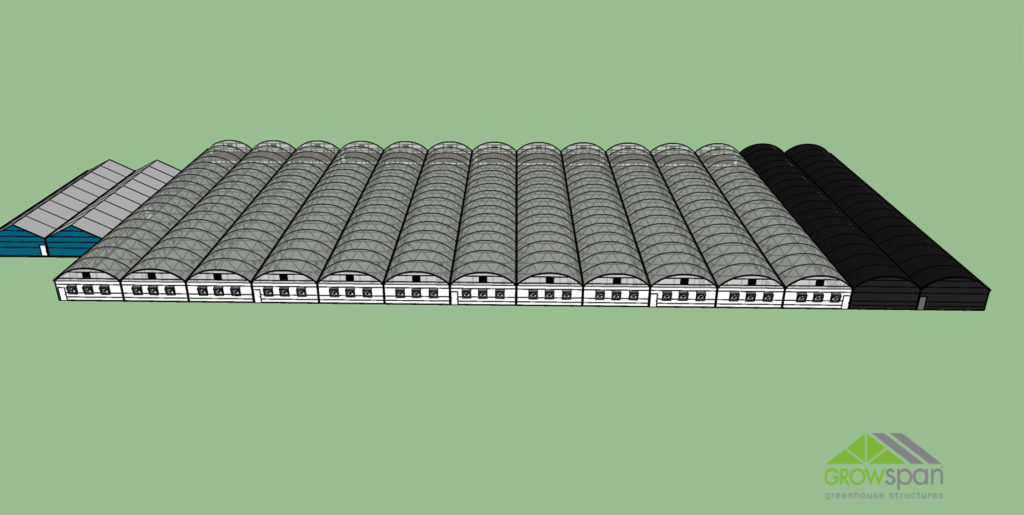 3D Greenhouse rendering