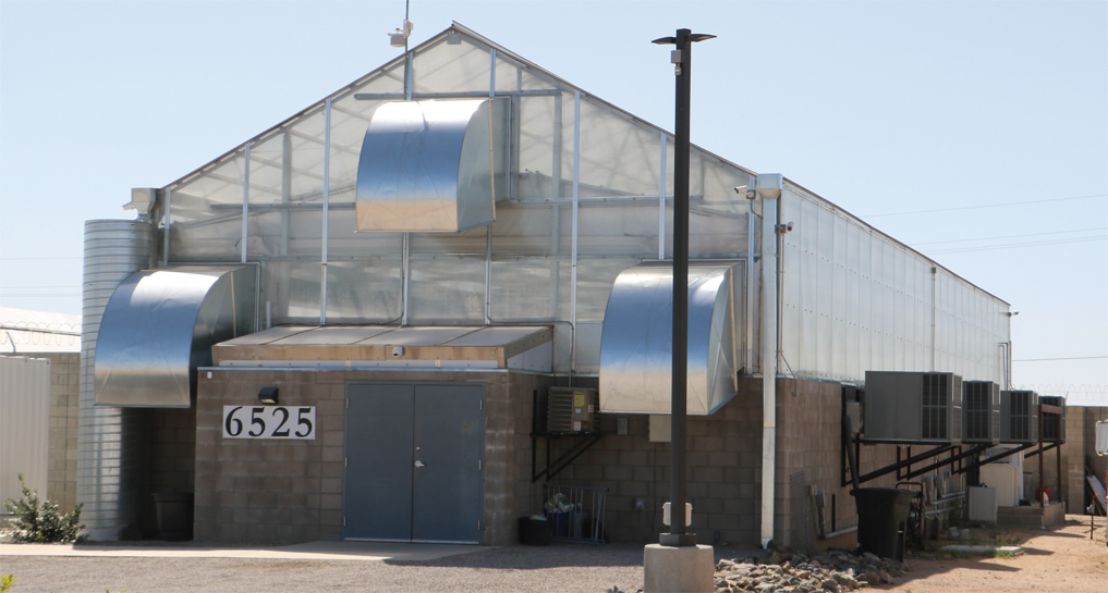 Purple Med Healing and Wellness exterior shot