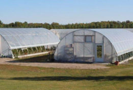Woodside raspberries high tunnels