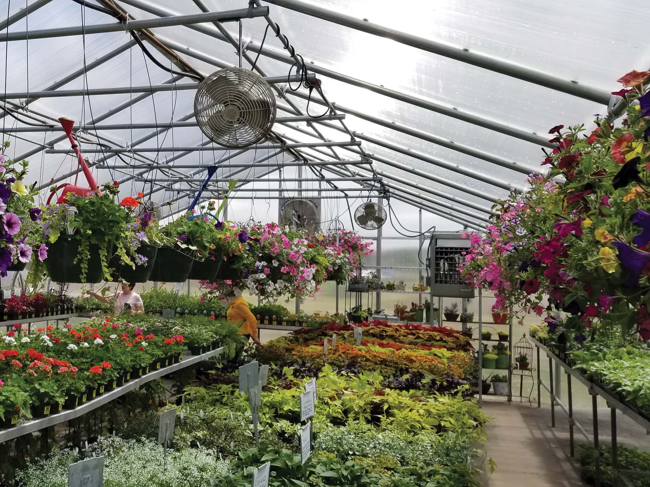 Mount Vernon Greenhouse