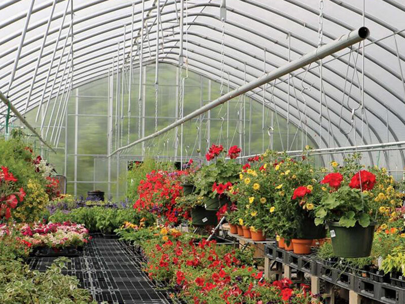 Hendons garden center interior